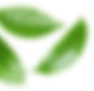 shape